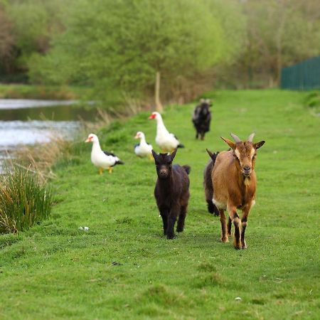 Gites De La Ferme De Vur Ven جورفيو المظهر الخارجي الصورة
