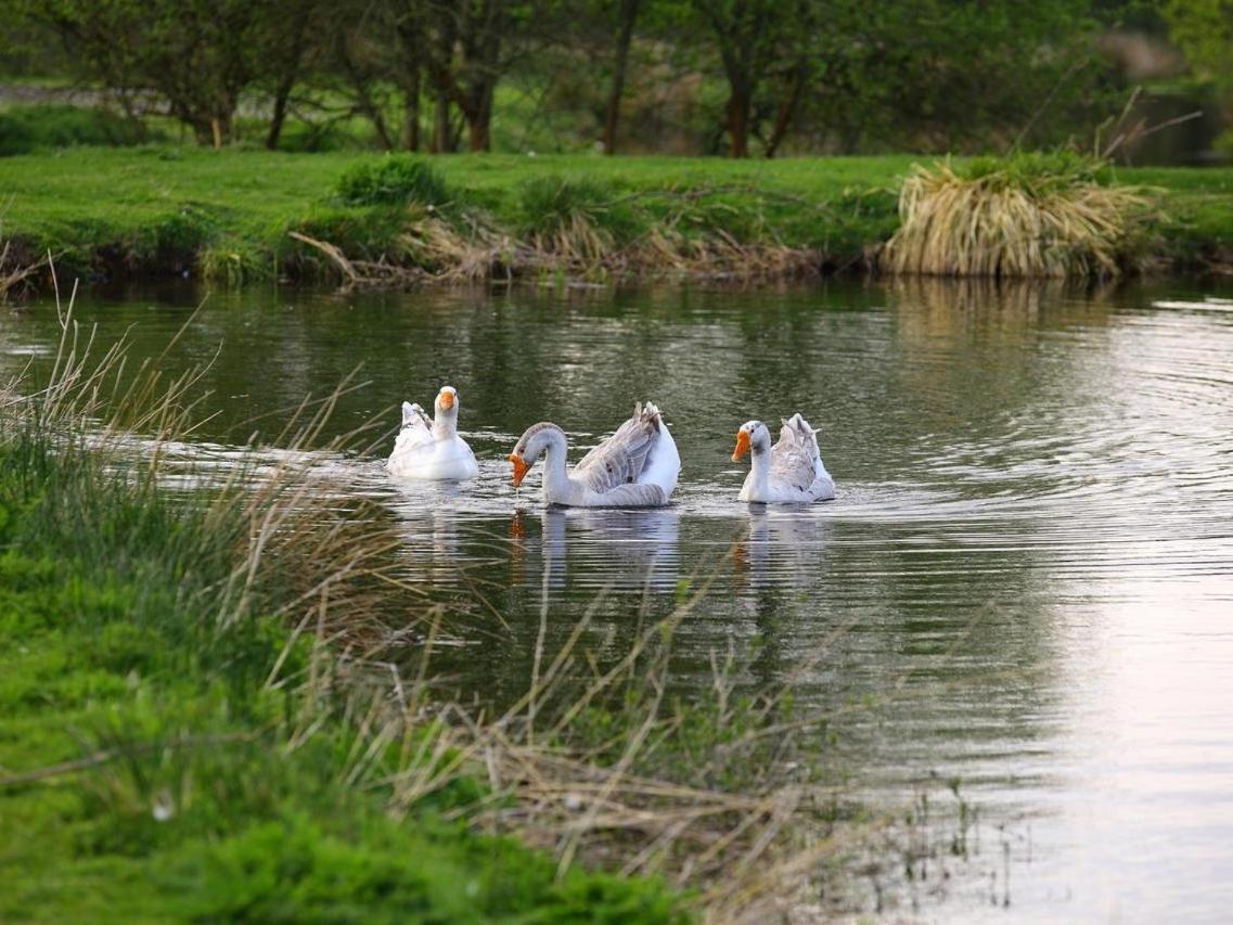 Gites De La Ferme De Vur Ven جورفيو المظهر الخارجي الصورة
